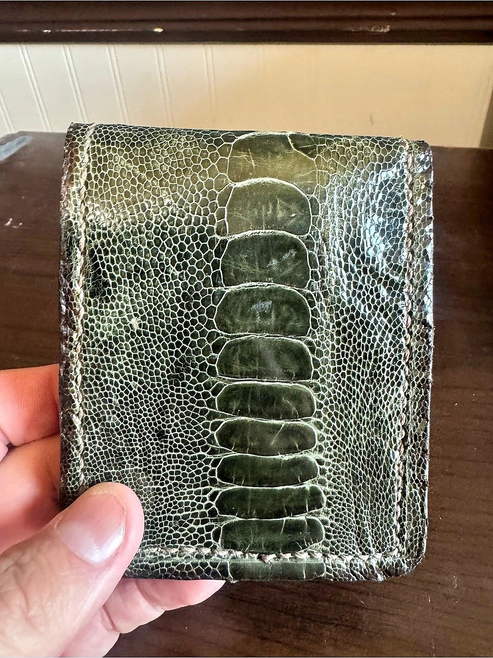 Ostrich-Pattern Wallet in Green & Brown